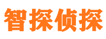 成安外遇出轨调查取证